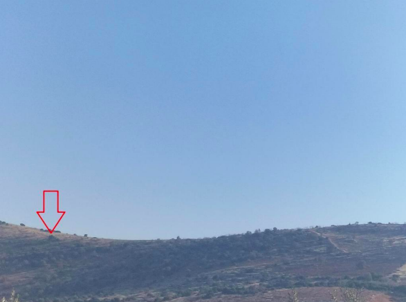 GAZİANTEP NİZİP'DE 53.004 M2 SATILIK FISTIK BAHÇESİ